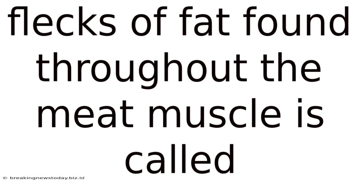 Flecks Of Fat Found Throughout The Meat Muscle Is Called