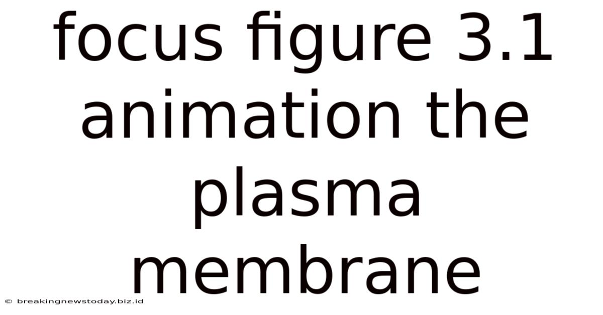 Focus Figure 3.1 Animation The Plasma Membrane