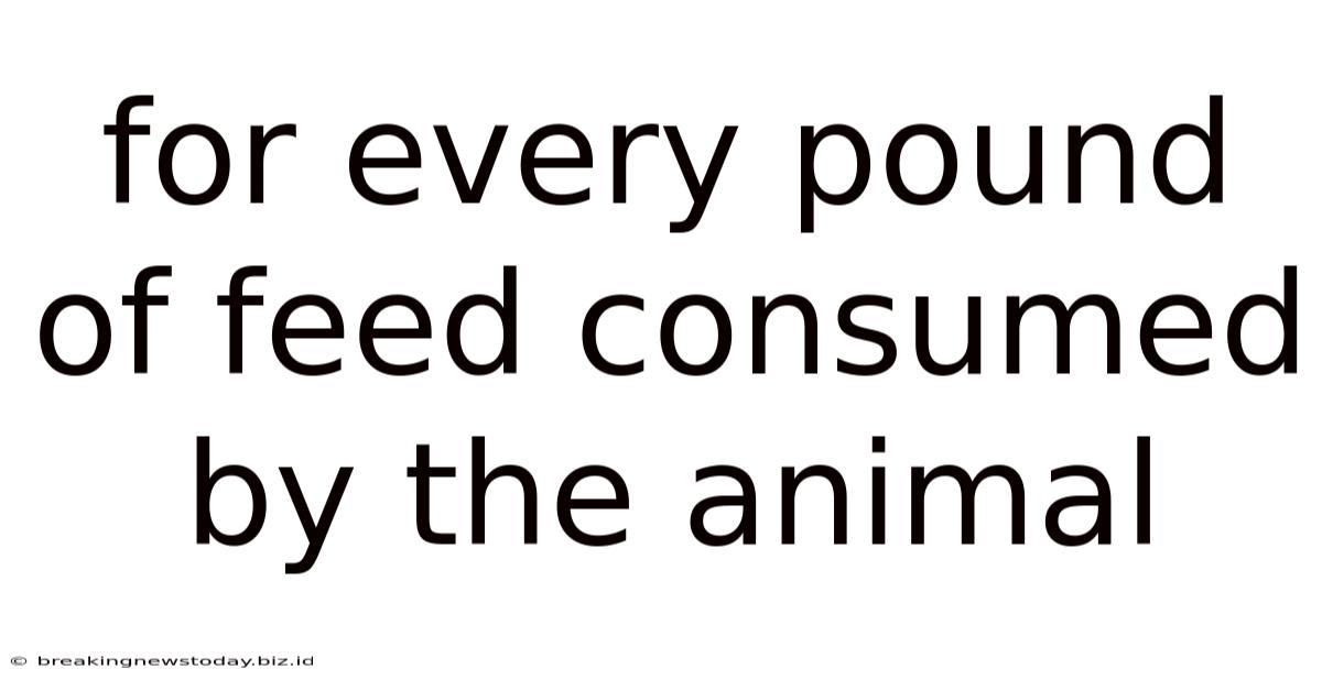 For Every Pound Of Feed Consumed By The Animal