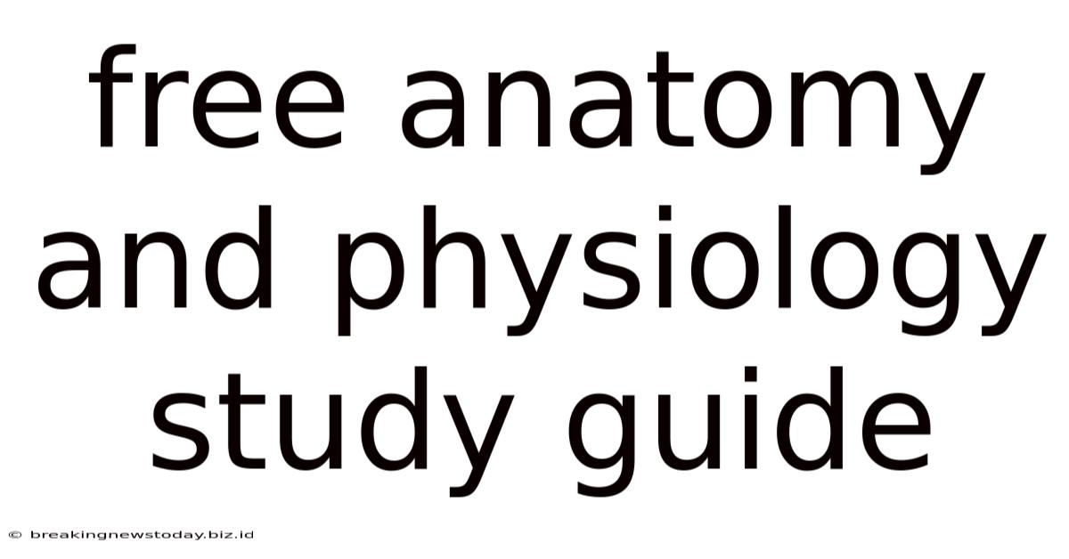 Free Anatomy And Physiology Study Guide