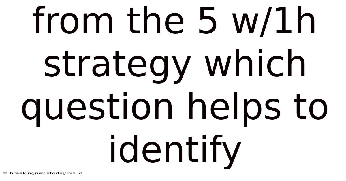 From The 5 W/1h Strategy Which Question Helps To Identify