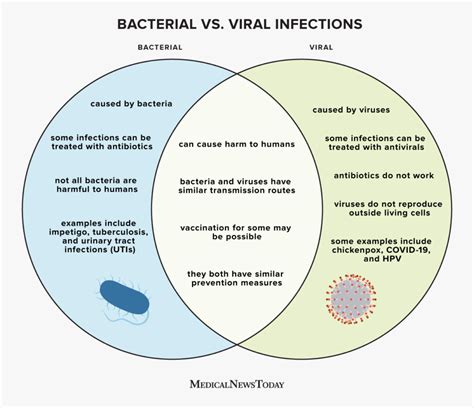 Fungal Infections Are More Common Than Bacterial Or Viral Infections.