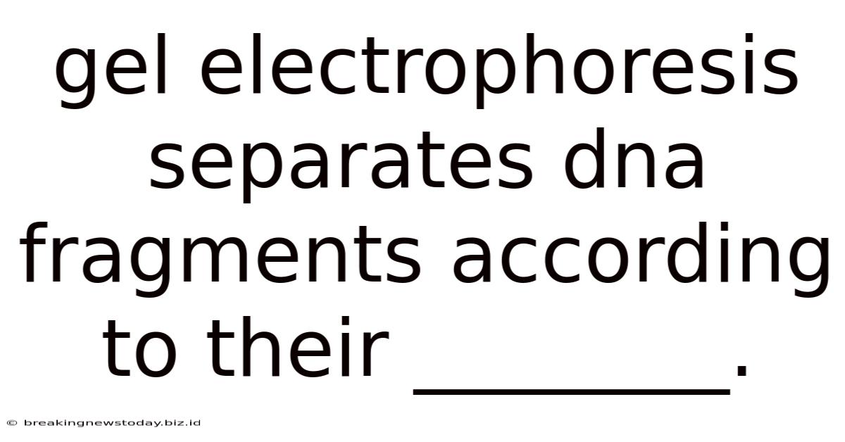Gel Electrophoresis Separates Dna Fragments According To Their ________.