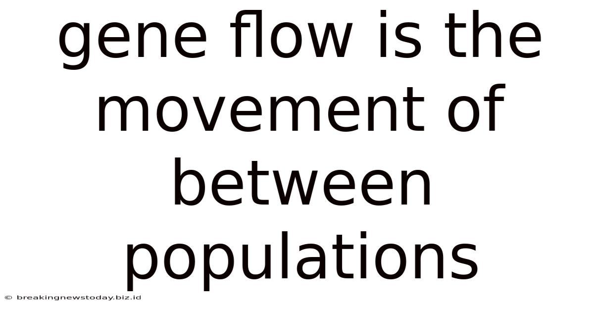 Gene Flow Is The Movement Of Between Populations