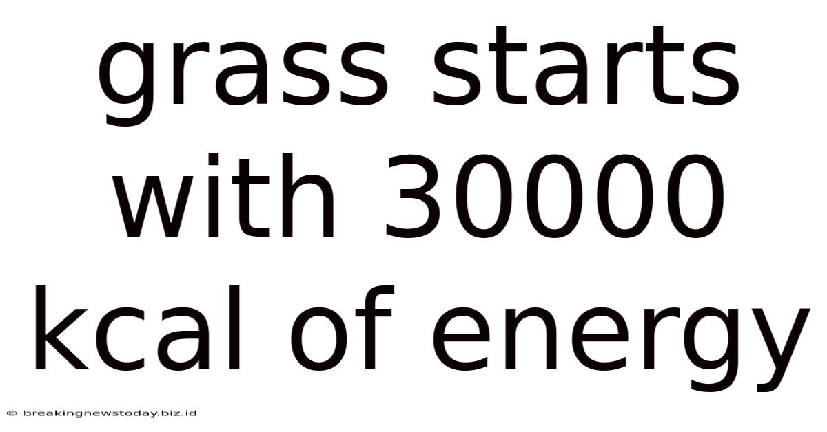 Grass Starts With 30000 Kcal Of Energy