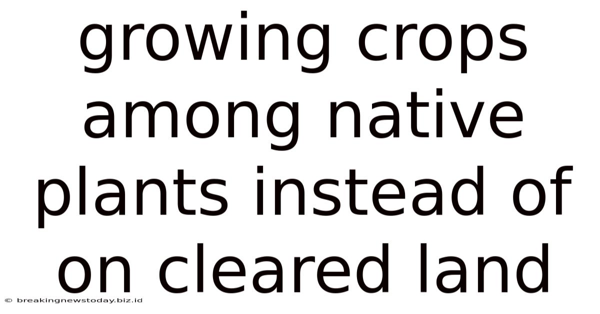 Growing Crops Among Native Plants Instead Of On Cleared Land