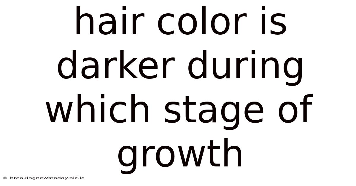 Hair Color Is Darker During Which Stage Of Growth