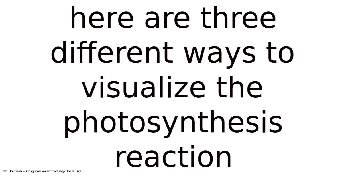 Here Are Three Different Ways To Visualize The Photosynthesis Reaction