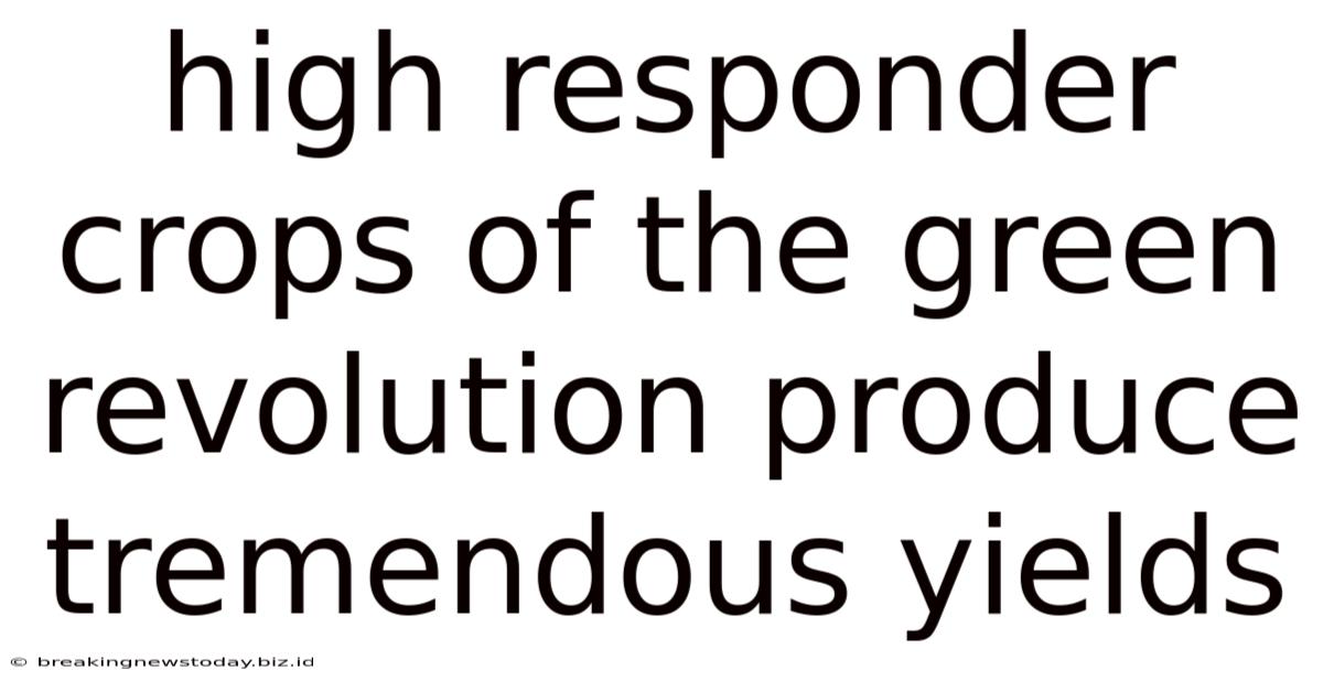 High Responder Crops Of The Green Revolution Produce Tremendous Yields