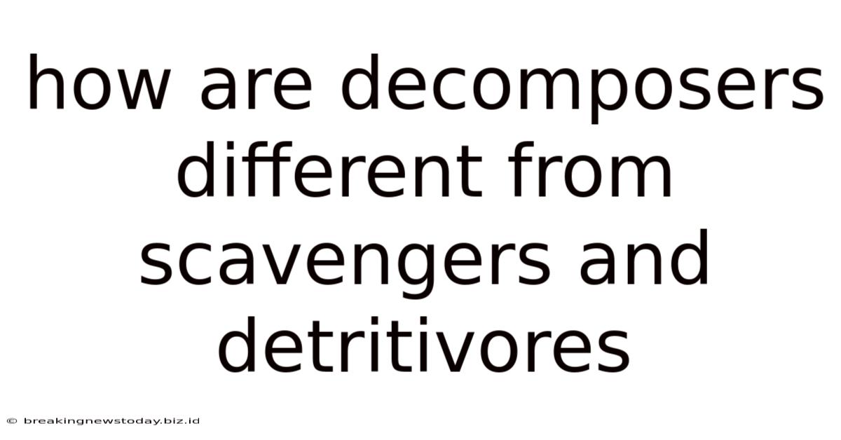 How Are Decomposers Different From Scavengers And Detritivores