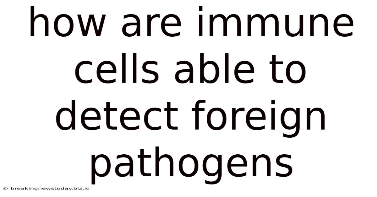 How Are Immune Cells Able To Detect Foreign Pathogens