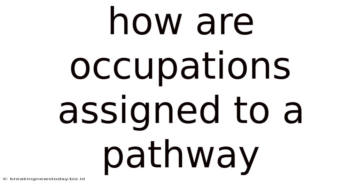 How Are Occupations Assigned To A Pathway