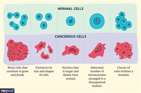 How Do Cancer Cells Differ From Normal Cells Quizlet