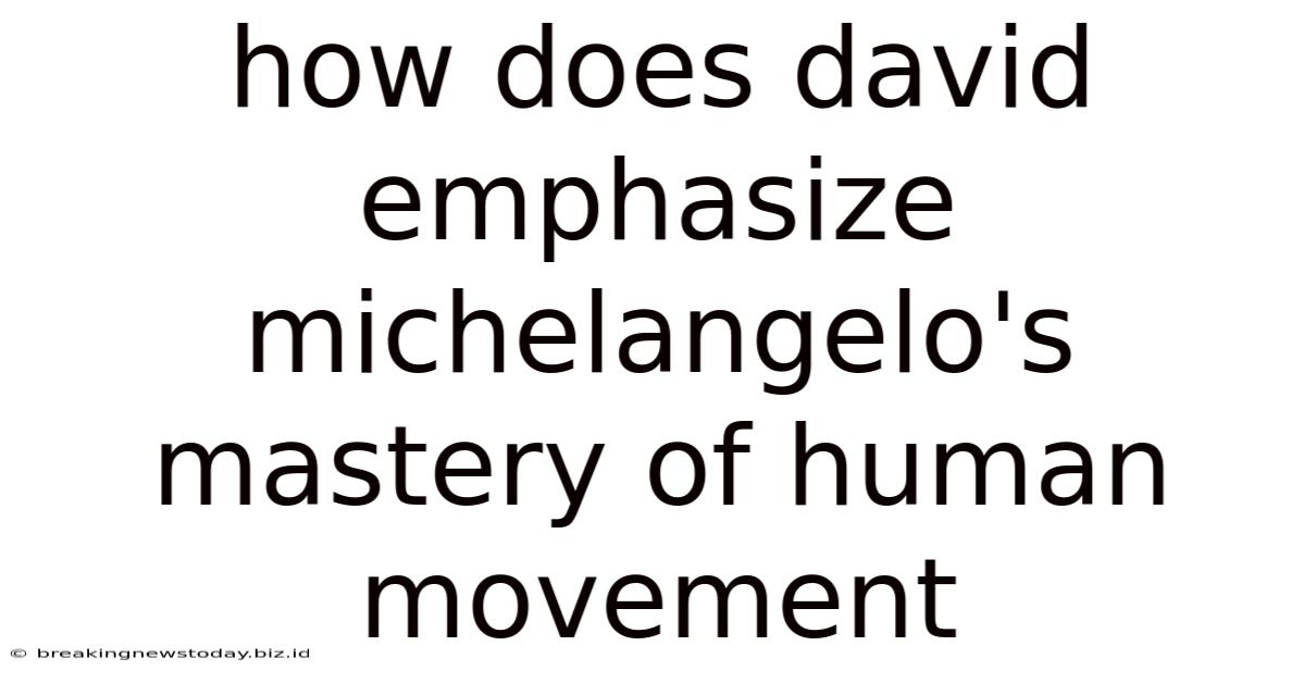 How Does David Emphasize Michelangelo's Mastery Of Human Movement