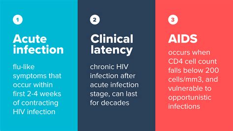 How Does Hiv Harm The Body Quizlet