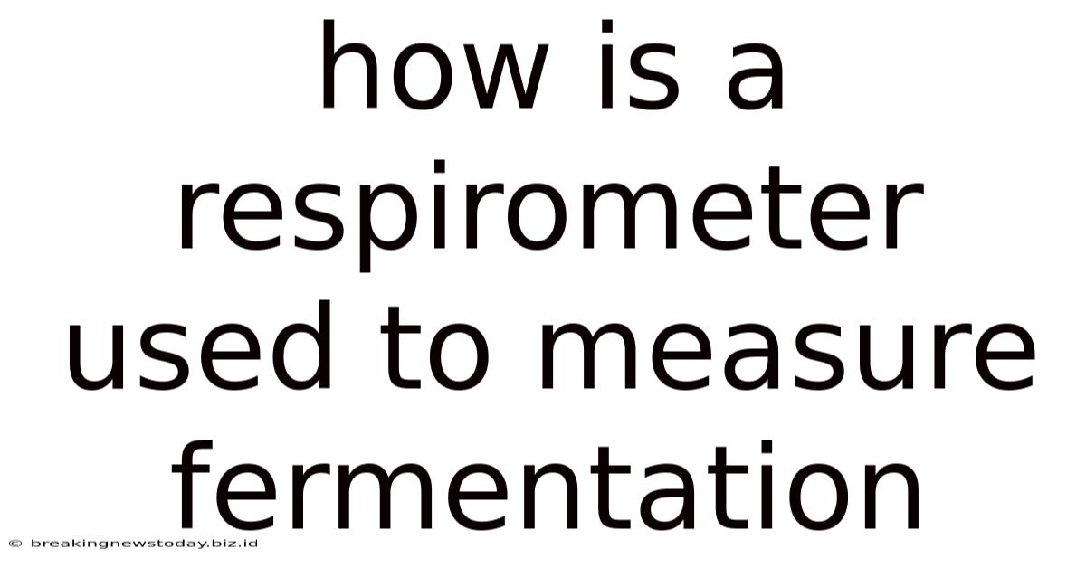 How Is A Respirometer Used To Measure Fermentation