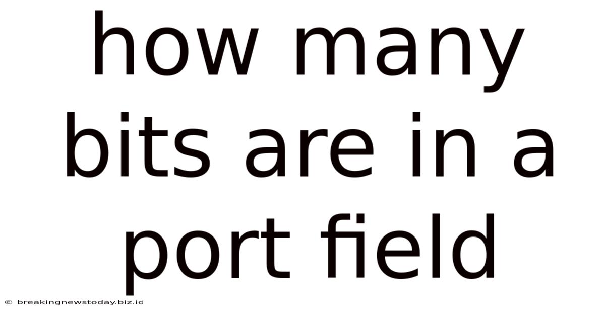 How Many Bits Are In A Port Field