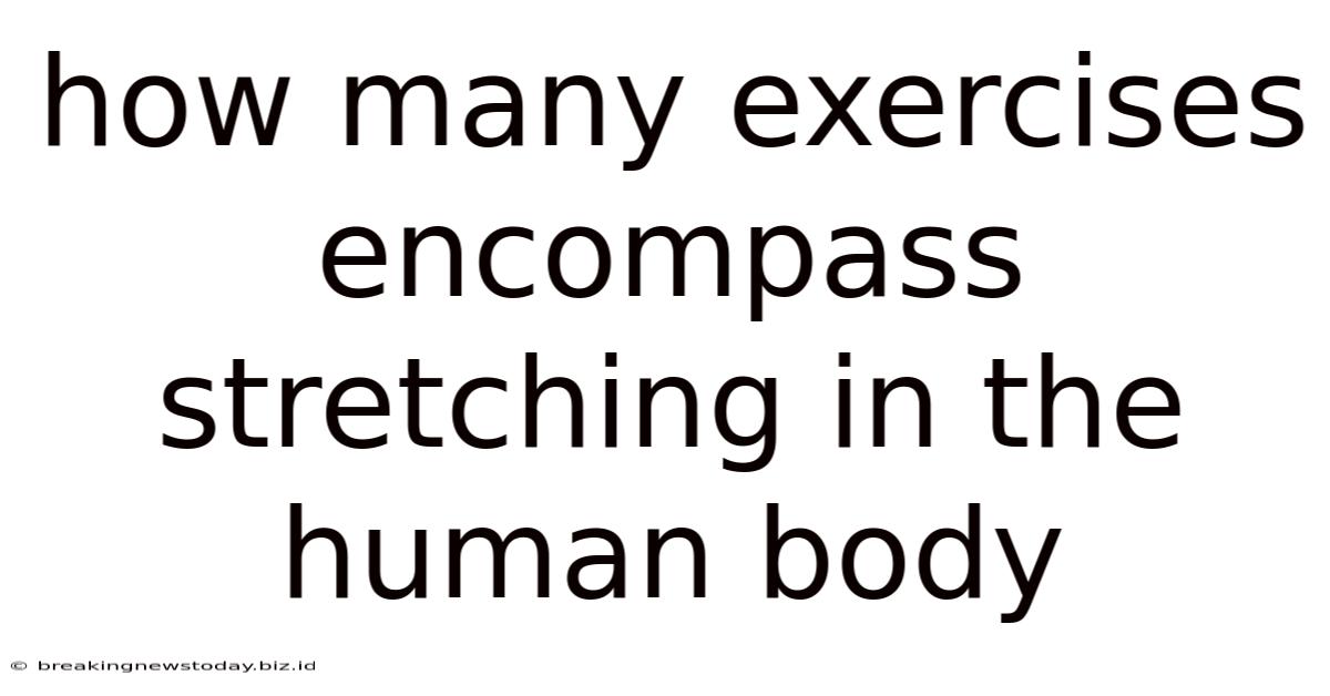 How Many Exercises Encompass Stretching In The Human Body