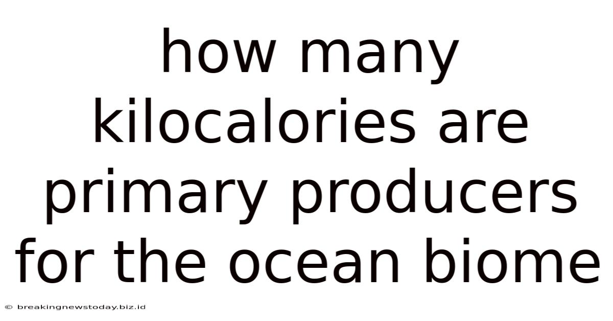 How Many Kilocalories Are Primary Producers For The Ocean Biome