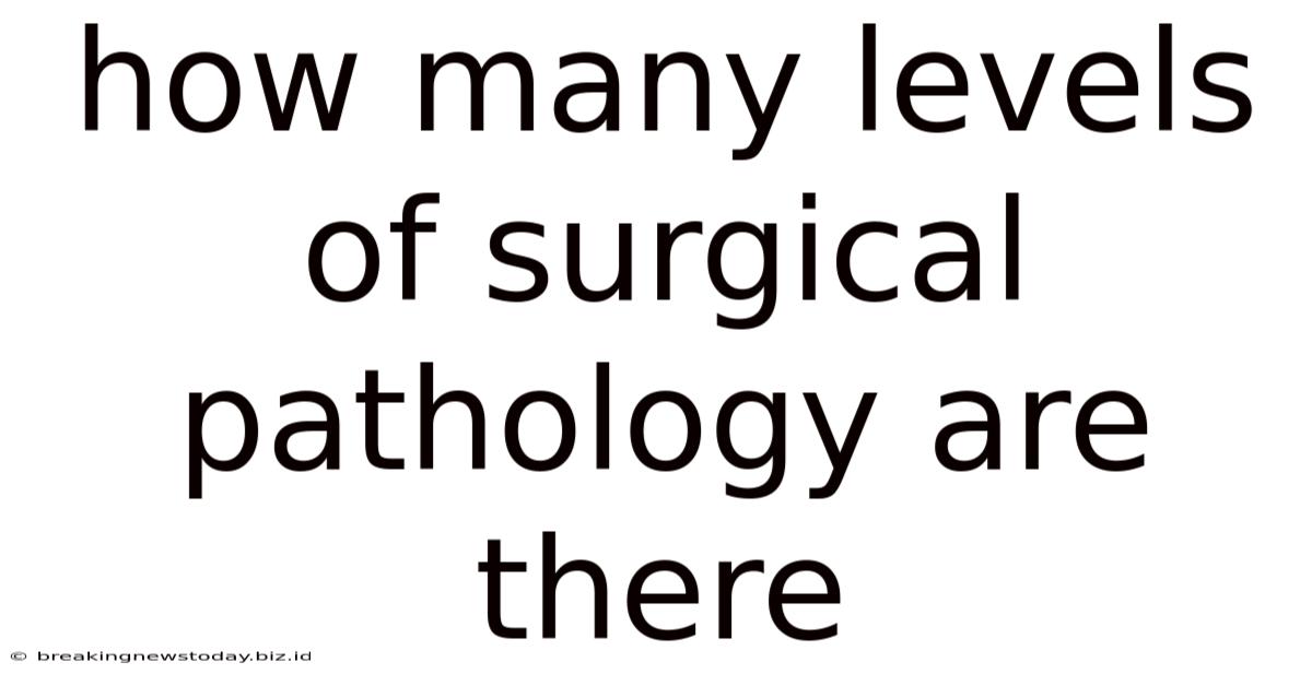 How Many Levels Of Surgical Pathology Are There