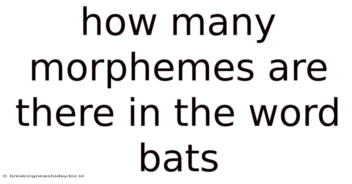 How Many Morphemes Are There In The Word Bats