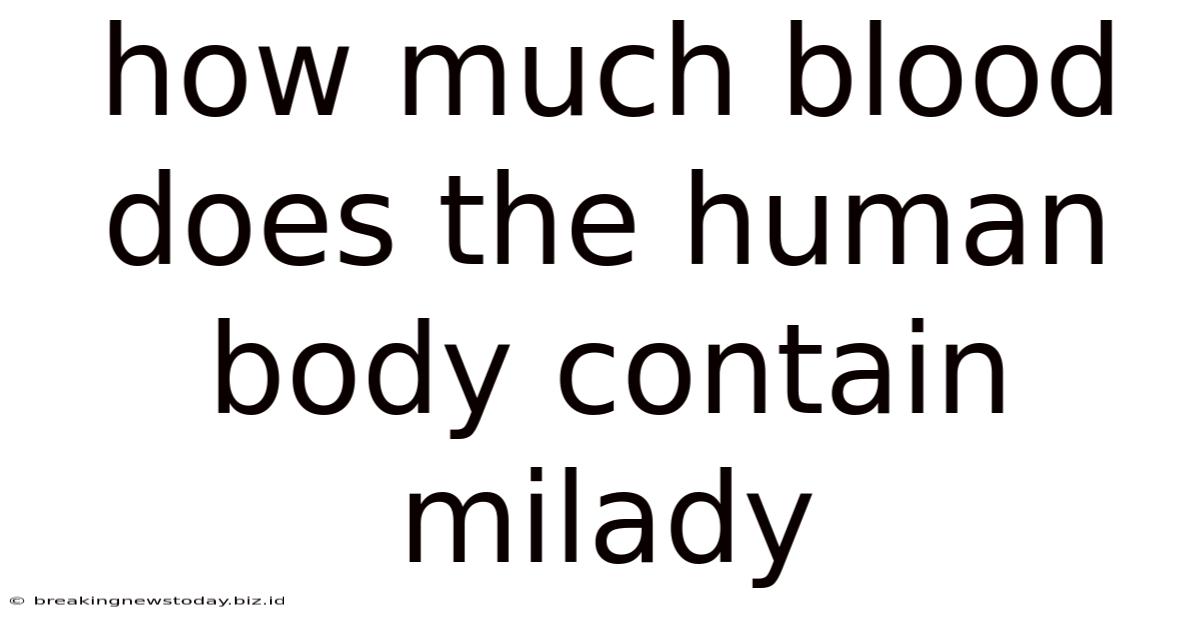 How Much Blood Does The Human Body Contain Milady