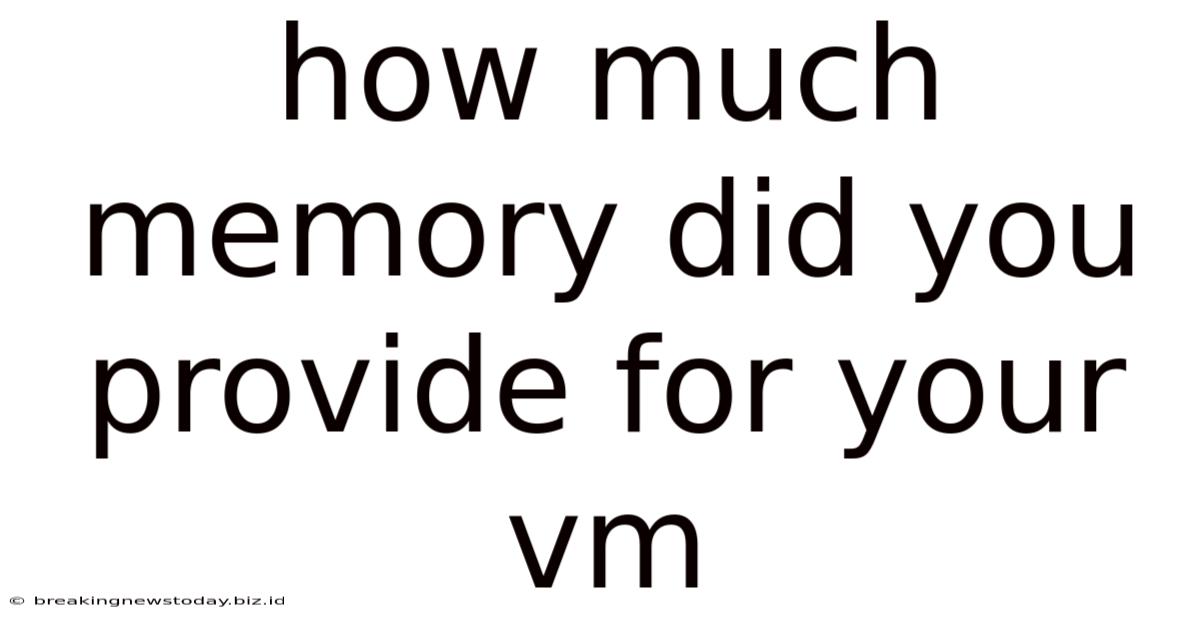 How Much Memory Did You Provide For Your Vm