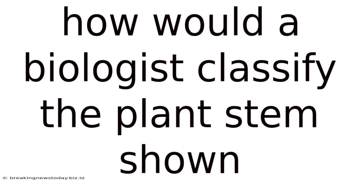 How Would A Biologist Classify The Plant Stem Shown