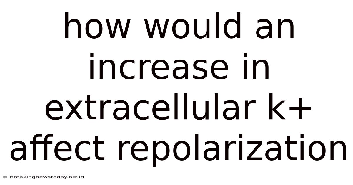 How Would An Increase In Extracellular K+ Affect Repolarization