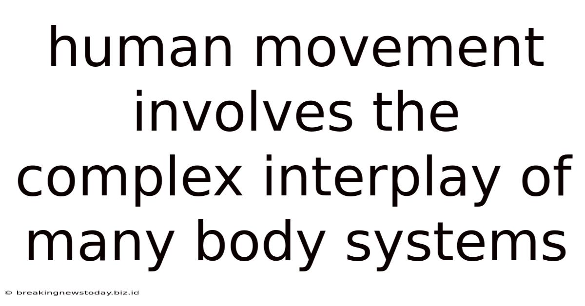 Human Movement Involves The Complex Interplay Of Many Body Systems