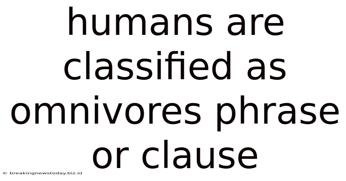 Humans Are Classified As Omnivores Phrase Or Clause