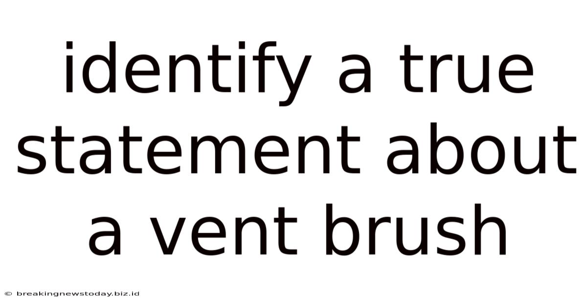 Identify A True Statement About A Vent Brush