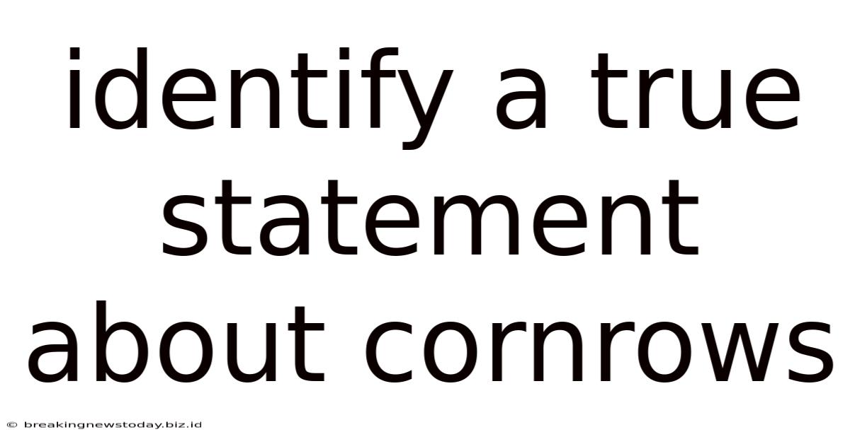 Identify A True Statement About Cornrows