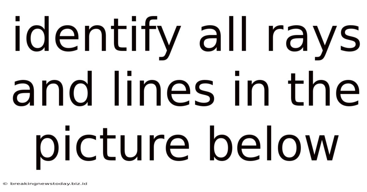 Identify All Rays And Lines In The Picture Below