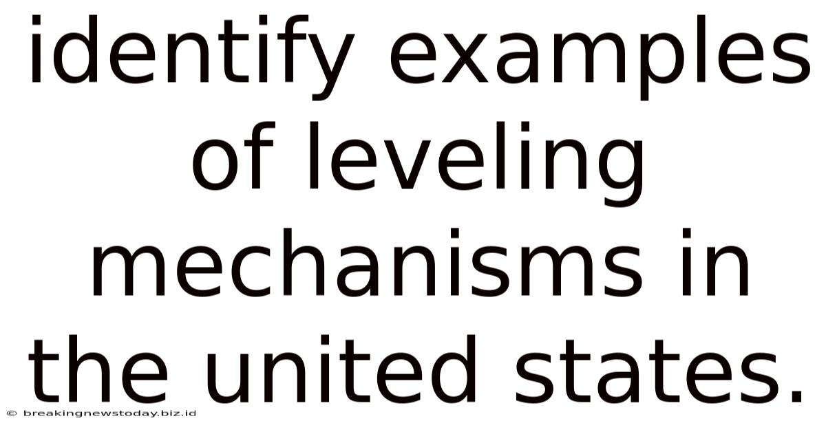 Identify Examples Of Leveling Mechanisms In The United States.