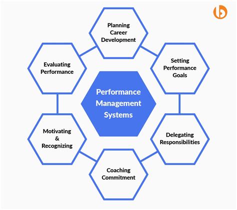 Identify Primary Outputs And Functions Of Performance Management Systems.