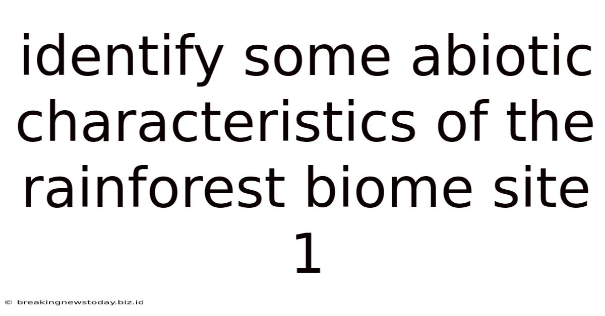 Identify Some Abiotic Characteristics Of The Rainforest Biome Site 1