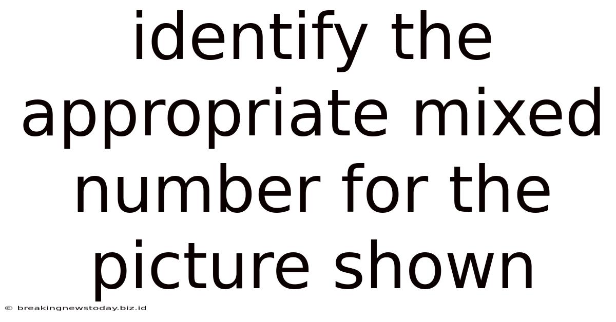 Identify The Appropriate Mixed Number For The Picture Shown