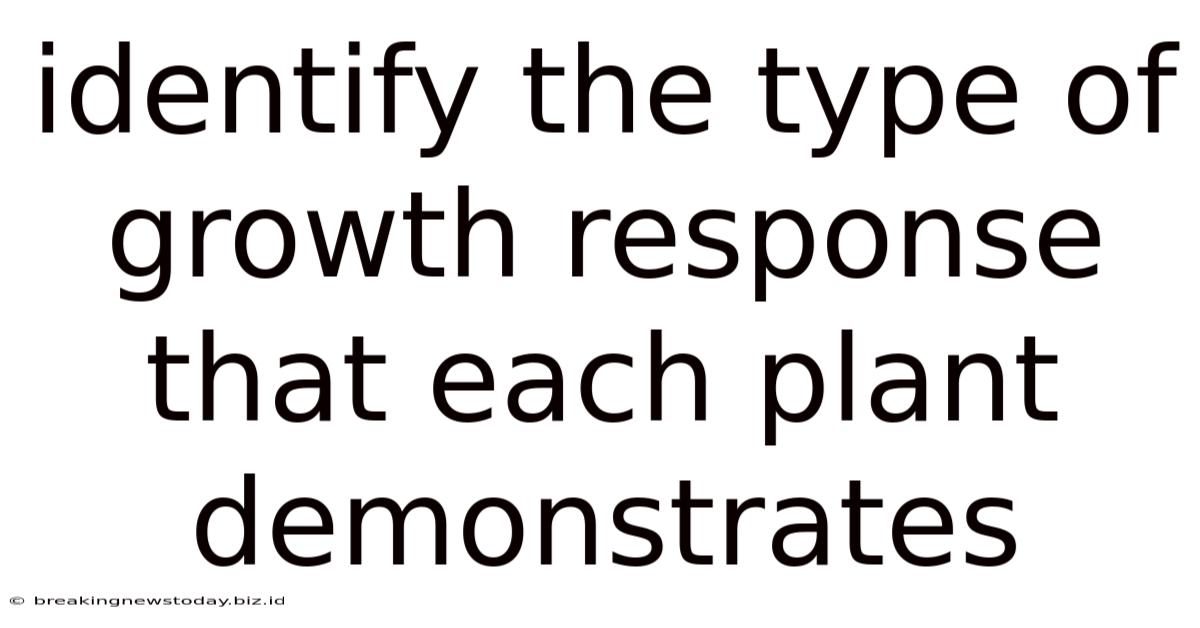 Identify The Type Of Growth Response That Each Plant Demonstrates.