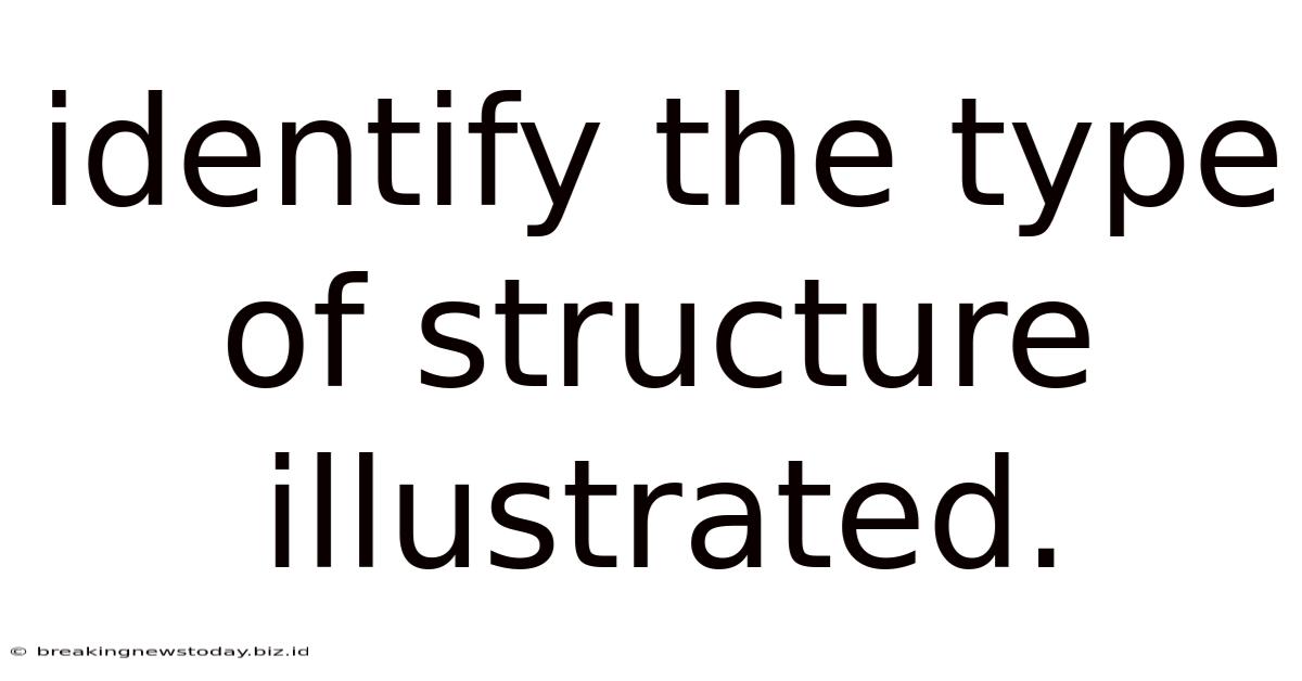 Identify The Type Of Structure Illustrated.