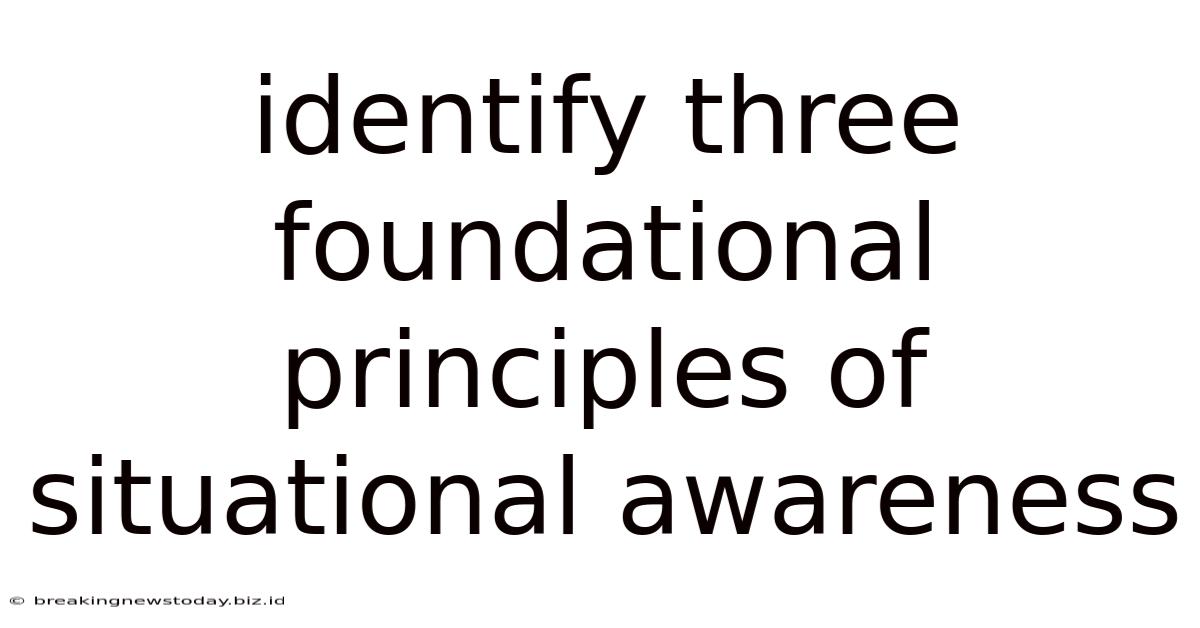Identify Three Foundational Principles Of Situational Awareness