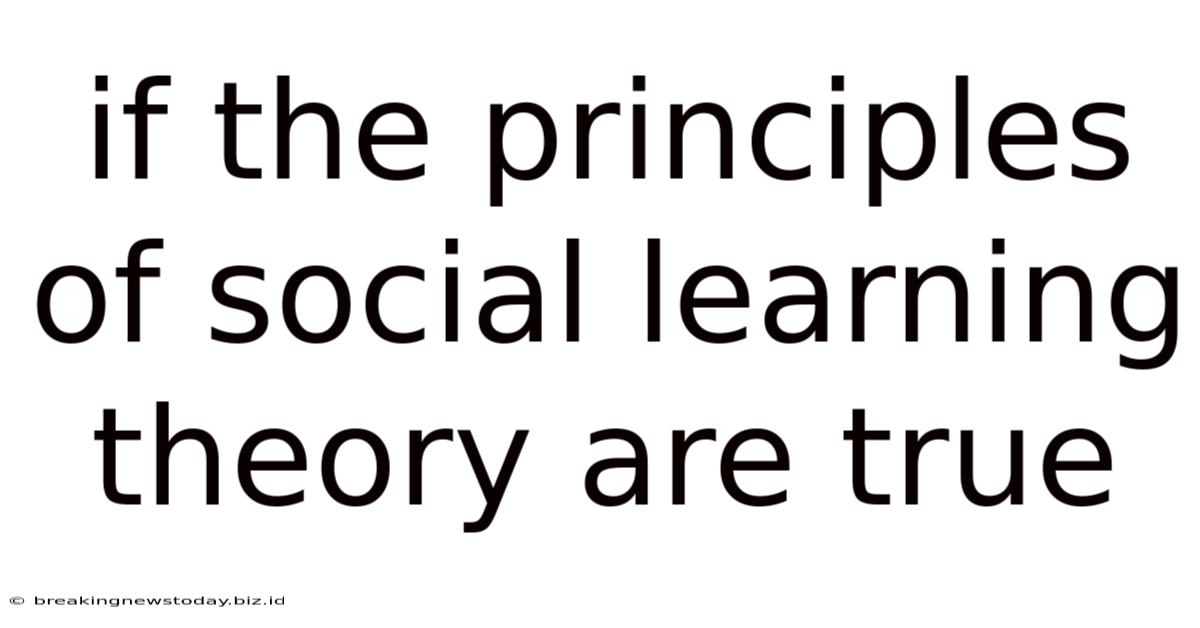 If The Principles Of Social Learning Theory Are True