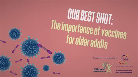 Important Vaccinations For Older Adults Include Quizlet