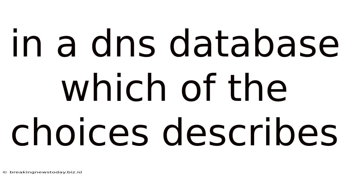 In A Dns Database Which Of The Choices Describes