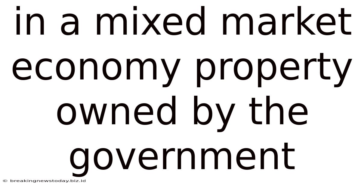 In A Mixed Market Economy Property Owned By The Government