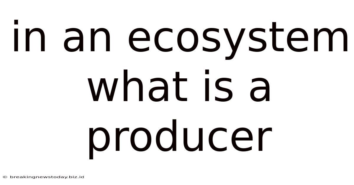 In An Ecosystem What Is A Producer