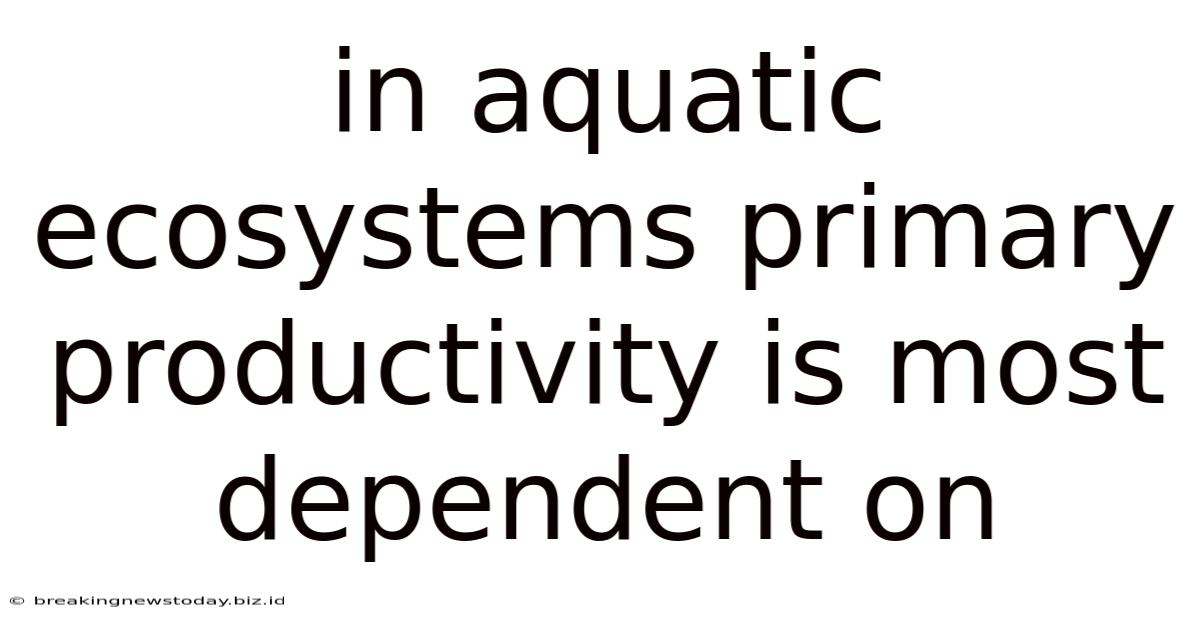 In Aquatic Ecosystems Primary Productivity Is Most Dependent On