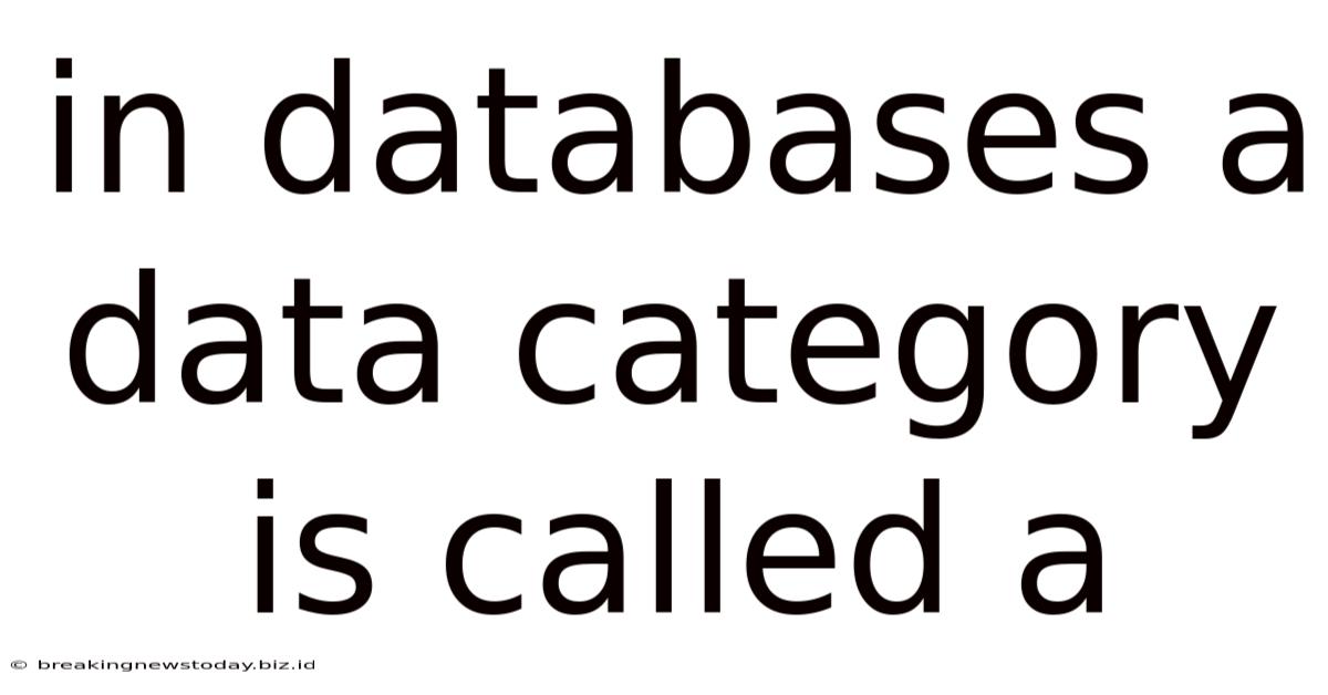 In Databases A Data Category Is Called A