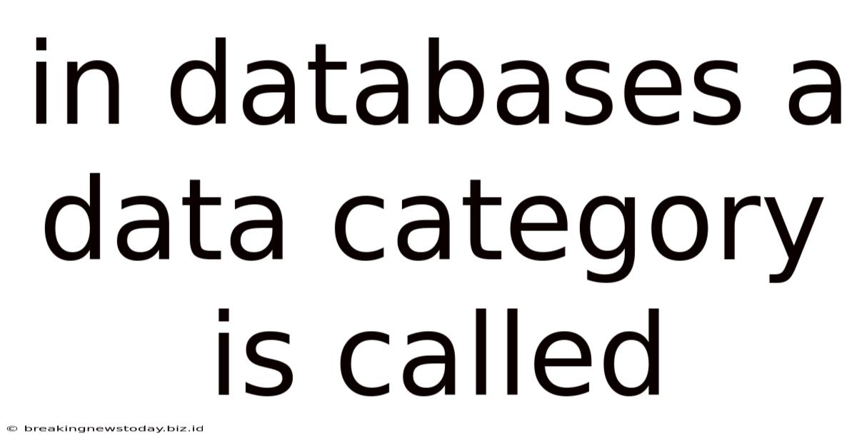 In Databases A Data Category Is Called
