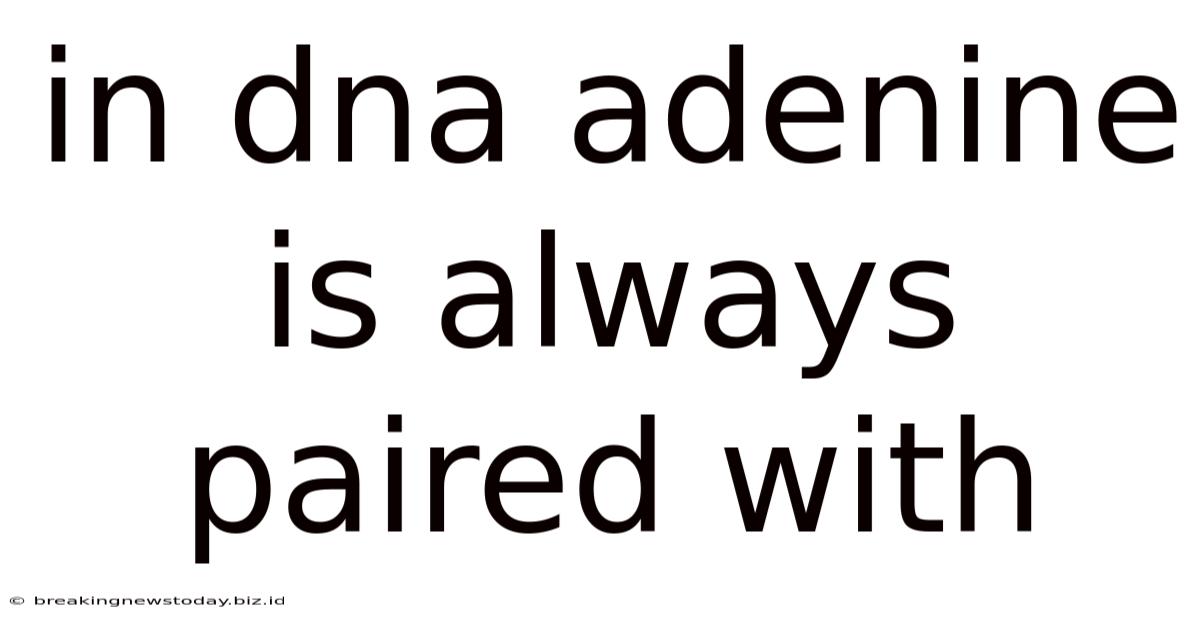 In Dna Adenine Is Always Paired With